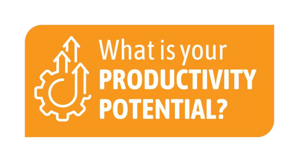 How do I reach for my Productivity Potential?