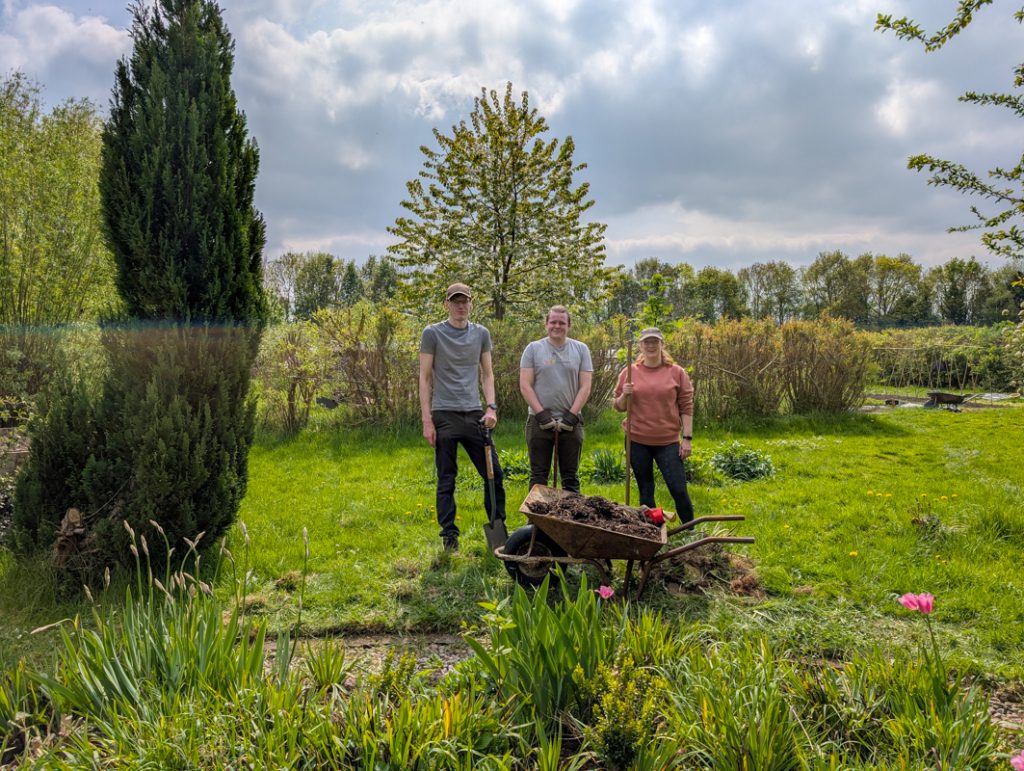 From desks to deadheading – Leila, Conor and Steve’s volunteer day