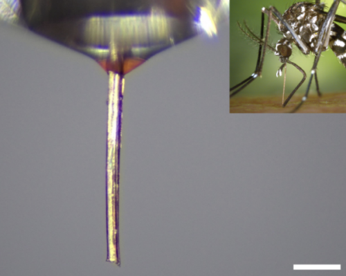 What a mosquito can teach us about precision dispensing